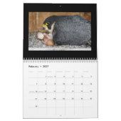 2015 Kalender - Hauptnocken-Collagen (Feb 2027)
