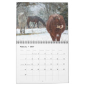 2015 Kalender-Kühe Kalender (Feb 2027)