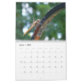 2015 Kalender: Leben um uns herum Kalender (Mär 2027)
