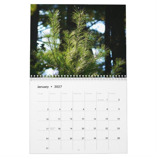 2015 Kalender: Leben um uns herum Kalender (Jan 2027)