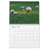 2015 Kalender: Leben um uns herum Kalender (Feb 2027)