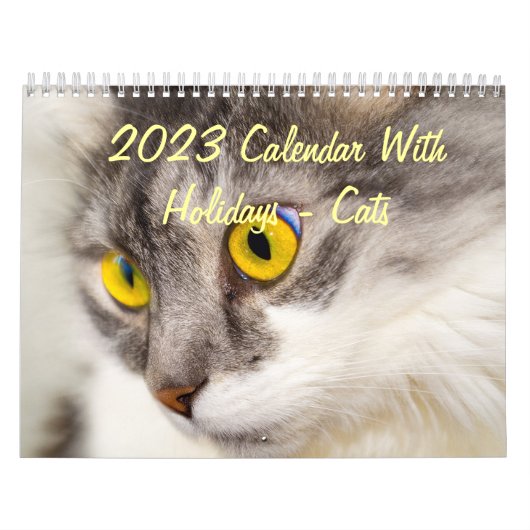 2015 Kalender mit Feiertagen - Katzen (Titelbild)