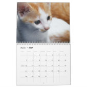 2015 Kalender mit Feiertagen - Katzen (Mär 2027)