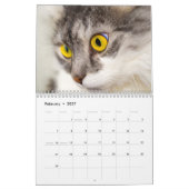 2015 Kalender mit Feiertagen - Katzen (Feb 2027)