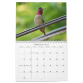 2015 Kolibri-Kalender Kalender (Feb 2027)