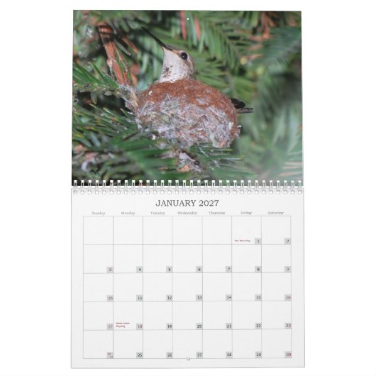 2015 Kolibri-Kalender Kalender (Jan 2027)