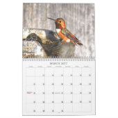 2015 Kolibri-Kalender Kalender (Mär 2027)