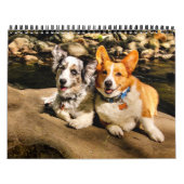 2015 mit Charlien u. Maggie Kalender (Titelbild)