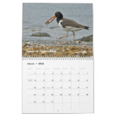 2015 Nordamerikaner-Vogel-Kalender Kalender (Mär 2026)