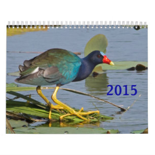 2015 Nordamerikaner-Vogel-Kalender Kalender
