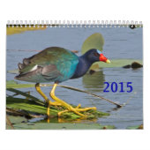 2015 Nordamerikaner-Vogel-Kalender Kalender (Titelbild)