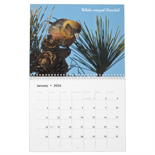2015 Nordamerikaner-Vogel-Kalender Kalender (Jan 2026)