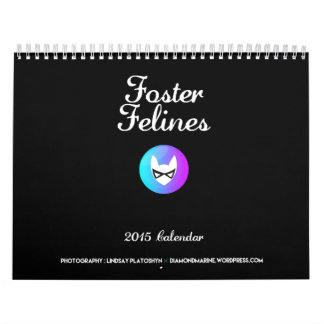 2015 PflegeFelines Kalender