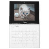 2015 PflegeFelines Kalender (Mär 2027)