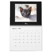 2015 PflegeFelines Kalender (Feb 2027)