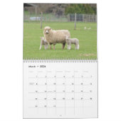 2015 Schafe Neuseeland-Kalender Kalender (Mär 2026)