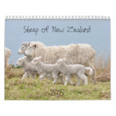 2015 Schafe Neuseeland-Kalender Kalender (Titelbild)