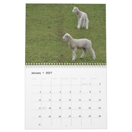 2015 Schafe Neuseeland-Kalender Kalender (Jan 2027)