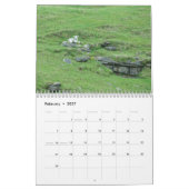 2015 Schafe Neuseeland-Kalender Kalender (Feb 2027)