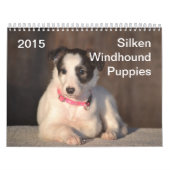 2015 seidene Windhound Welpen Kalender (Titelbild)