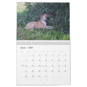 2015 seidene Windhound Welpen Kalender (Mär 2027)