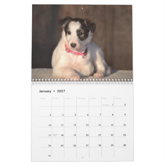 2015 seidene Windhound Welpen Kalender (Jan 2027)