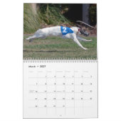 2015 seidenes Windhounds in der Aktion Kalender (Mär 2027)