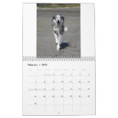 2015 seidenes Windhounds in der Aktion Kalender (Feb 2027)