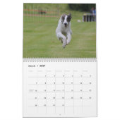 2015 seidenes Windhounds in der Aktion Kalender (Mär 2027)