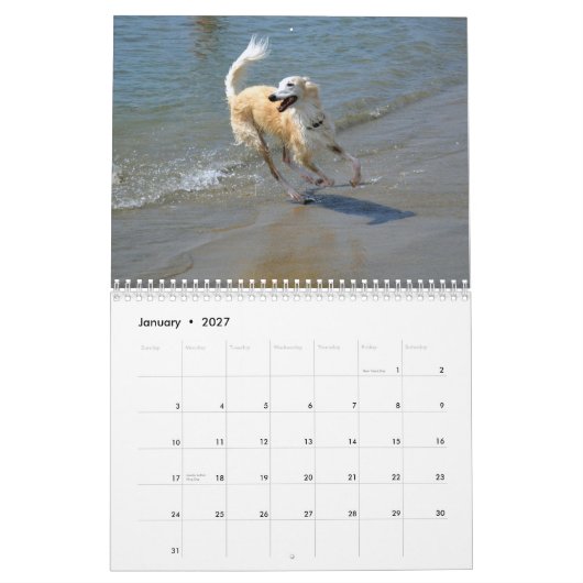 2015 seidenes Windhounds in der Aktion Kalender (Jan 2027)