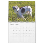 2015 seidenes Windhounds Kalender (Feb 2026)
