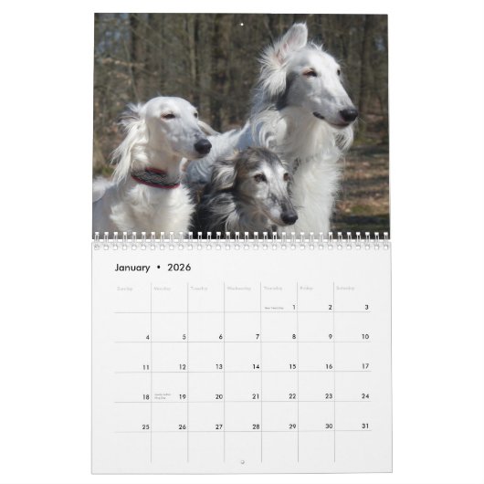 2015 seidenes Windhounds Kalender (Jan 2026)