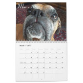 2015 Senior-Boxer-Kalender Kalender (Mär 2027)
