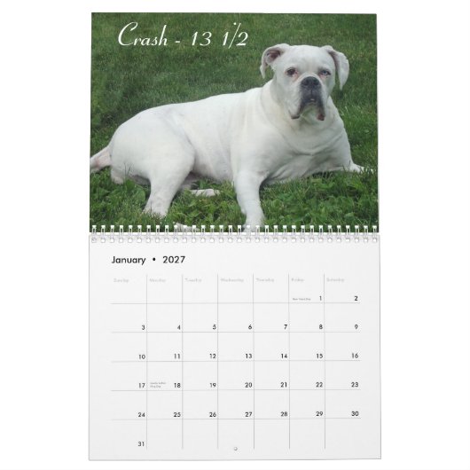 2015 Senior-Boxer-Kalender Kalender (Jan 2027)