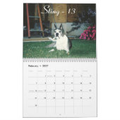 2015 Senior-Boxer-Kalender Kalender (Feb 2027)