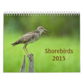 2015 Shorebirds-Kalender Kalender (Titelbild)
