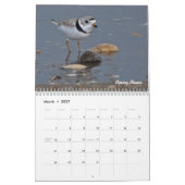 2015 Shorebirds-Kalender Kalender (Mär 2027)