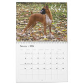 2015 Show-Boxer-Kalender Kalender (Feb 2026)