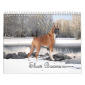 2015 Show-Boxer-Kalender Kalender (Titelbild)