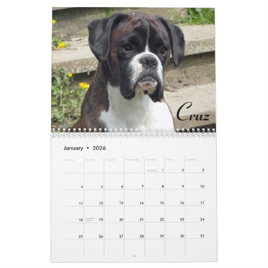 2015 Show-Boxer-Kalender Kalender (Jan 2026)