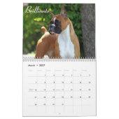 2015 Show-Boxer-Kalender Kalender (Mär 2027)