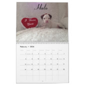 2015 Weiß-Boxer-Kalender Kalender (Feb 2026)
