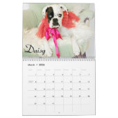 2015 Weiß-Boxer-Kalender Kalender (Mär 2026)