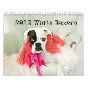 2015 Weiß-Boxer-Kalender Kalender