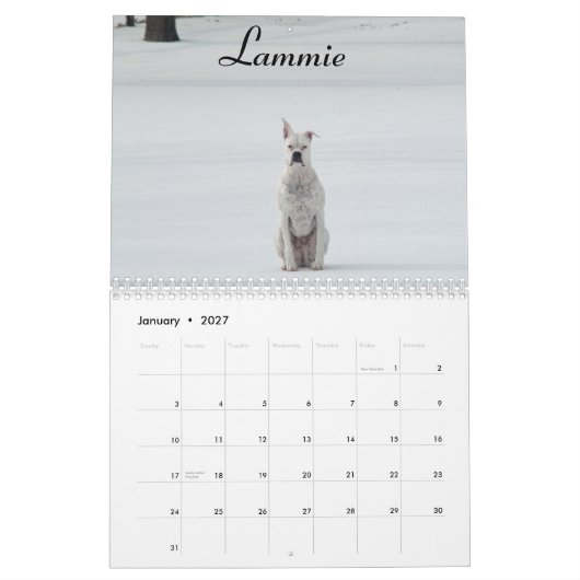 2015 Weiß-Boxer-Kalender Kalender (Jan 2027)