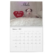 2015 Weiß-Boxer-Kalender Kalender (Feb 2027)