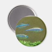 20160526_113326 MAGNET (Vorderseite/Rückseite)