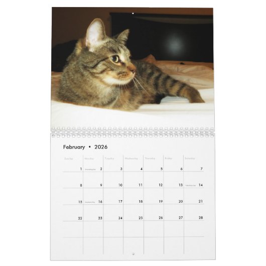 2016 anhebender Mercury-Kalender Kalender (Feb 2026)