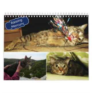 2016 anhebender Mercury-Kalender Kalender