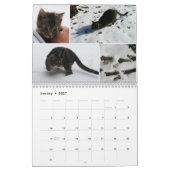 2016 anhebender Mercury-Kalender Kalender (Jan 2027)